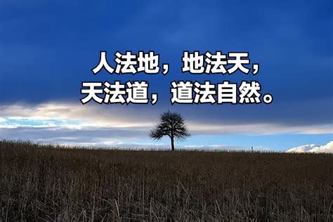 人法地 地法天 俊幾畫